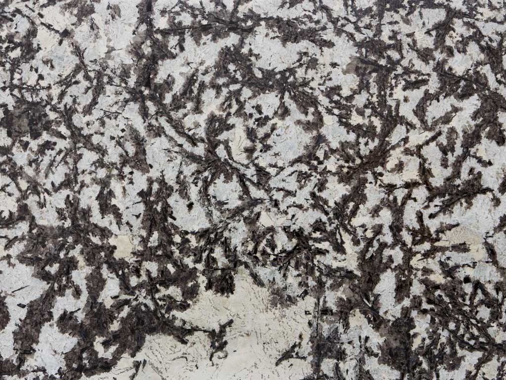 Shooting Star Quartzite