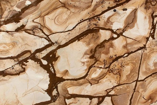 Stonewood Quartzite