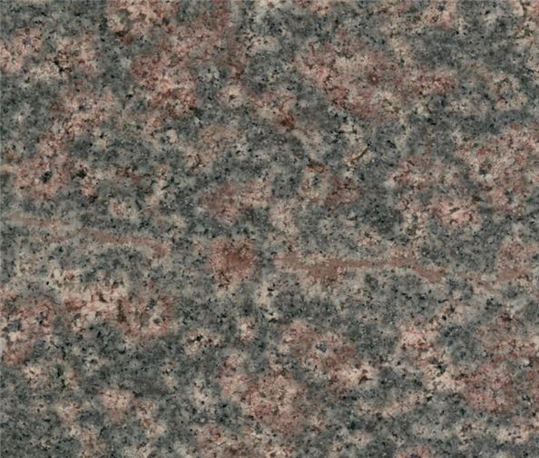 Desert Bloom Granite